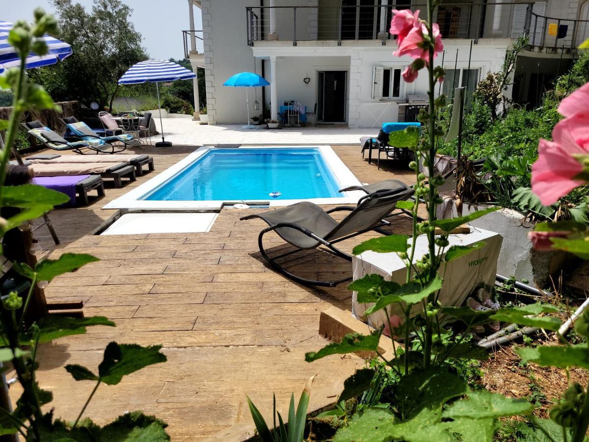 Mit Pool Kroatien Mit Meerblick Und Pool Apartment *