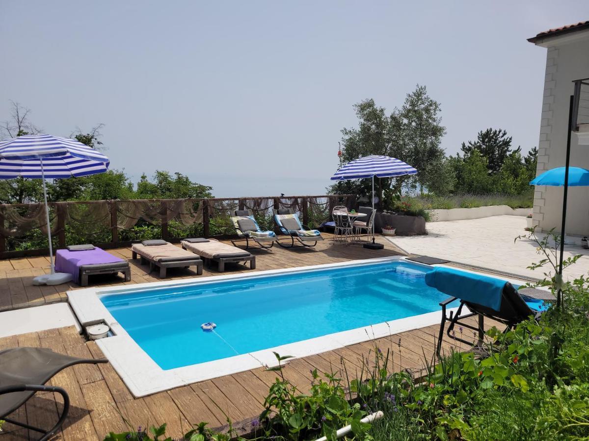 Mit Pool Kroatien Mit Meerblick Und Pool